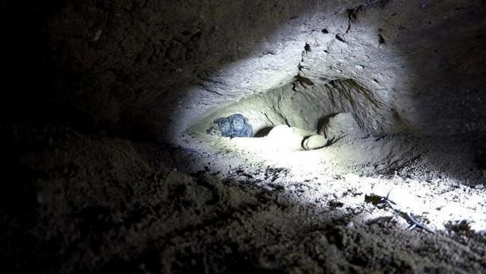 S-au aventurat intr-o pestera si au avut parte de o surpriza de zile mari. Ce au descoperit
