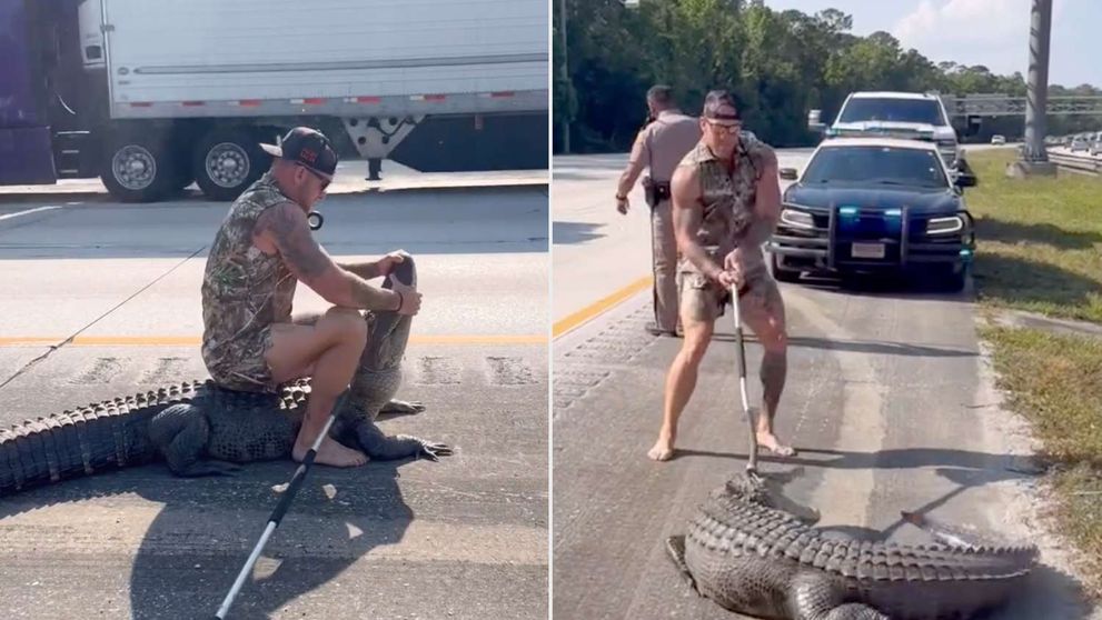 Momentul șocant când un bărbat desculț se luptă cu un aligator, pe o autostradă aglomerată. Reacția martorilor: ”Nici în cele mai negre coșmaruri ale mele...”
