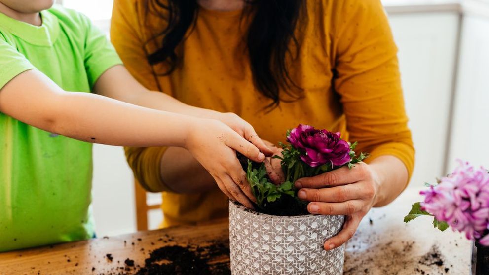 Cum creezi cele mai frumoase aranjamente florale pentru grădina ta