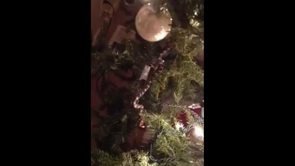 VIDEO. Surpriza pe care n-o vor uita niciodata. <span style=