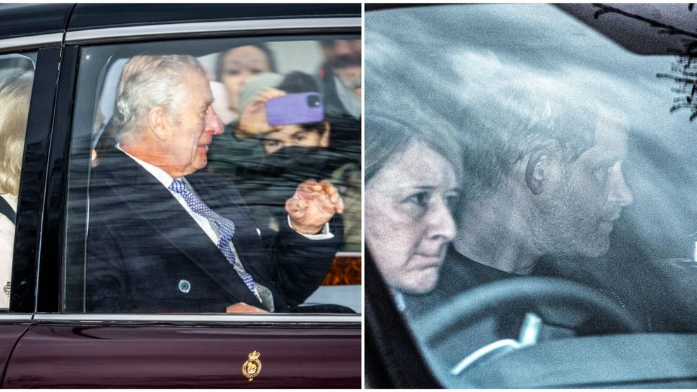 Ce s-a întâmplat între prințul Harry și Charles, în timpul vizitei de 45 de minute! Gestul fără precedent al regelui