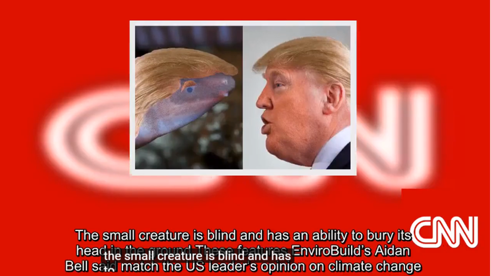O specie de amfibian va purta numele lui Donald Trump. Asemănarea cu președintele e izbitoare, spune cel care a ales numele