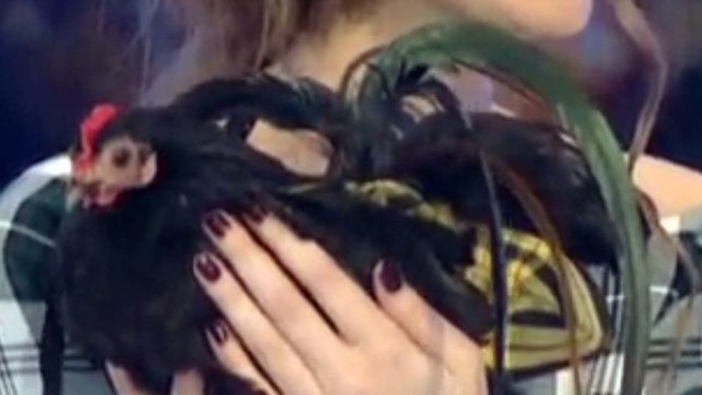 Iulia Albu nu este singura vedeta cu gaina de companie. Ce actrita superba de la noi a fost surprinsa cu o inaripata