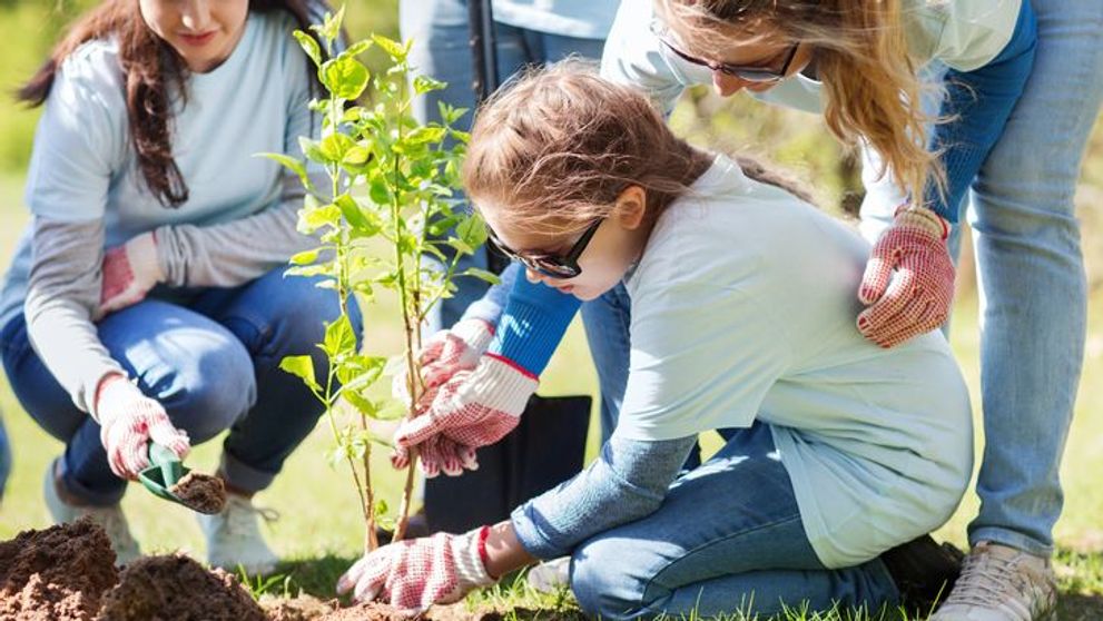 Zece mii de copii din cinci judete dau o lectie ce ar trebui invatata de noi toti. Au plantat copaci pe hectare intregi