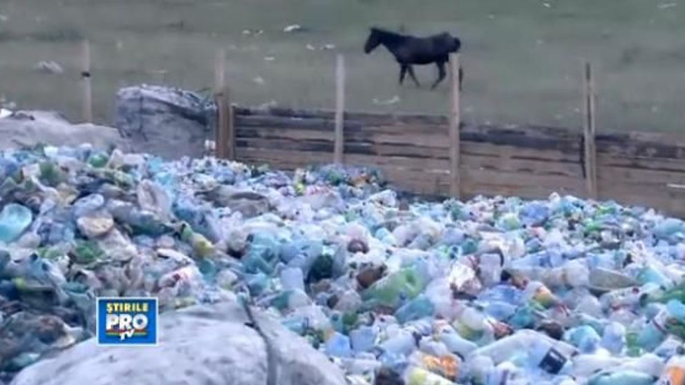 Peste 2.000.000 de telespectatori au urmarit 