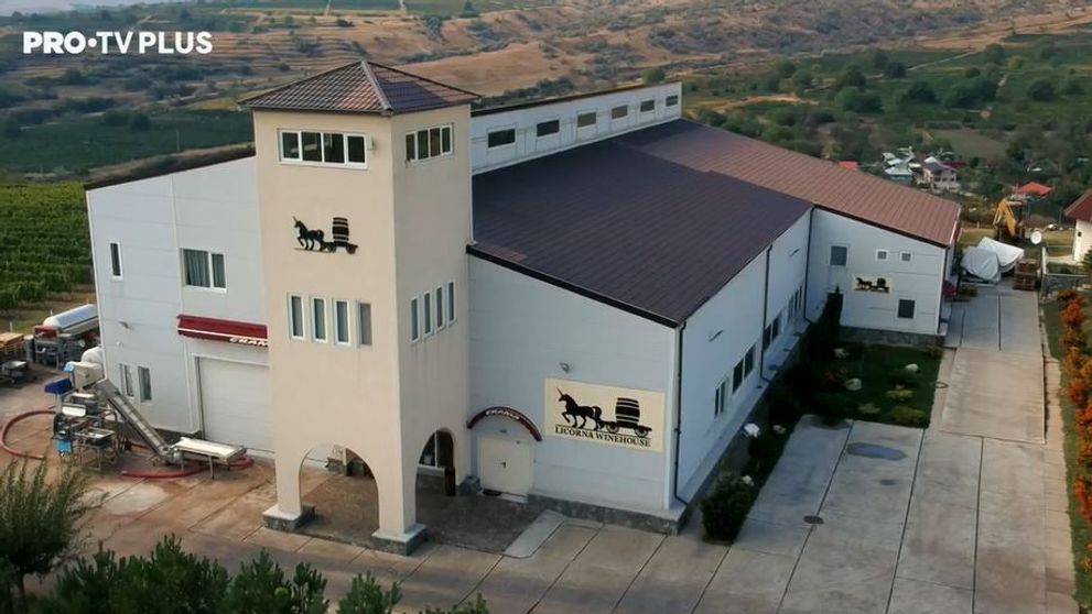 Cum se produce un vin de calitate. Află povestea impresionantă a Cramei Licorna