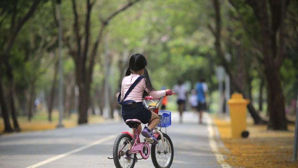 In Timis se construieste prima pista de biciclete la tara. Unde duce si ce lungime va avea
