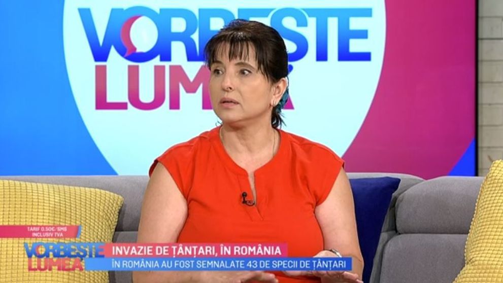 Liliana Preoțescu, despre invazia de țânțari. Cât de periculoși sunt și cum trebuie să vă protejați