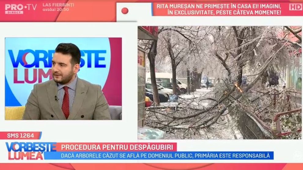VIDEO Procedura pentru despăgubiri în cazul mașinilor distruse de copaci  