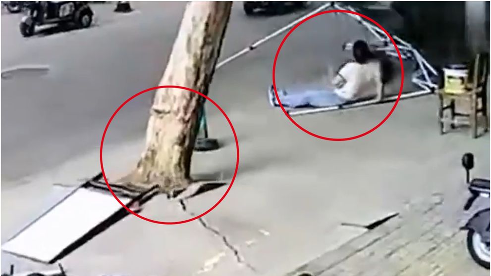 Incident dramatic provocat de furtună! Momentul în care o femeie este prinsă sub un copac doborât de vânt