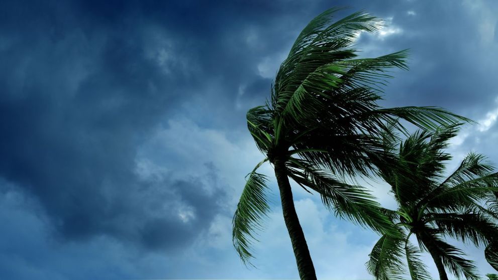 VIDEO Prognoza meteo: vânt puternic