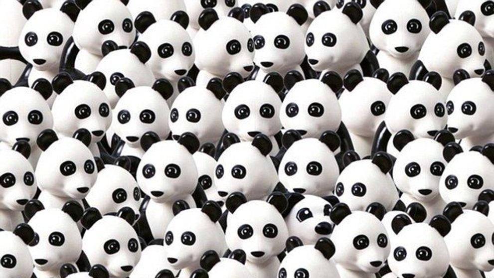 Iluzie optică virală! Tu poți găsi câinele care se ascunde printre urșii panda?