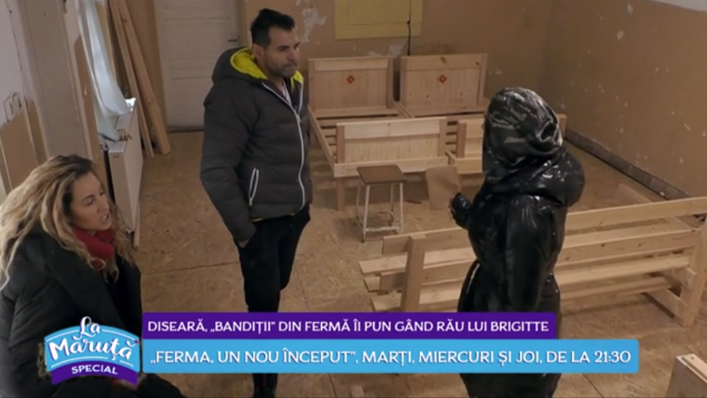 VIDEO Diseară bandiții din Ferma îi pun gând rău lui Brigitte