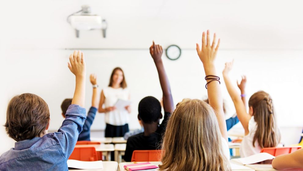 Olimpici si profesori din Timis vor fi premiati de autoritati