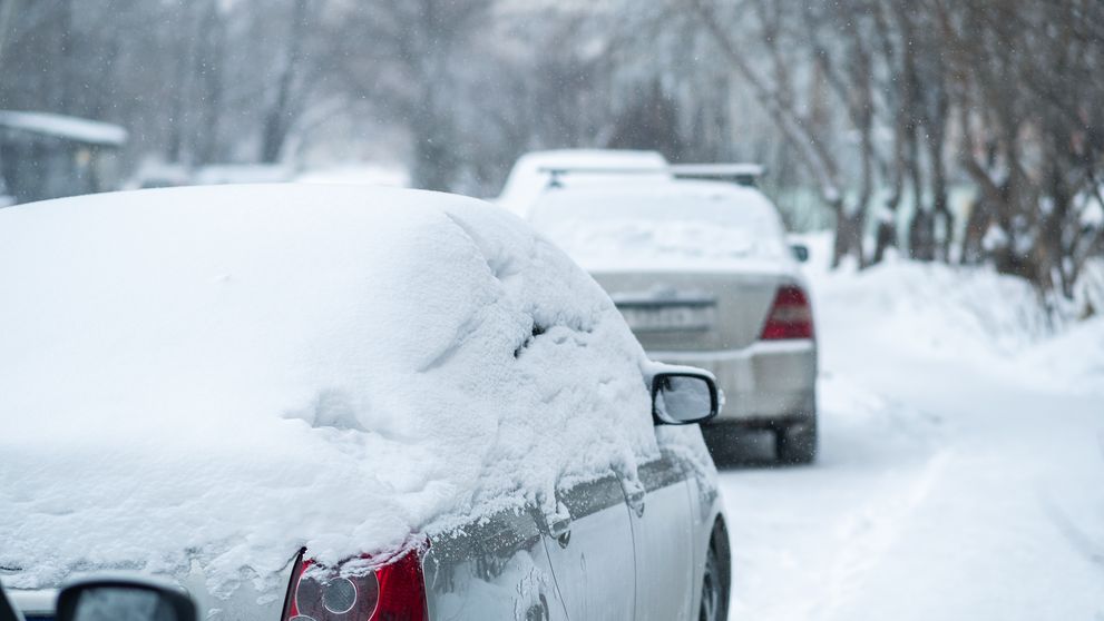 Ninsori și ger peste Capitală și sudul țării: se anunță strat consistent de zăpadă și temperaturi de până la -15 grade