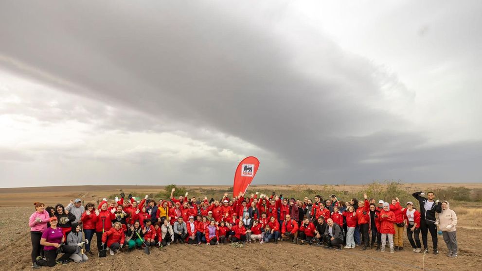 (P) Mega Image plantează o pădure nouă, de 12.000 de copaci, unul pentru fiecare angajat