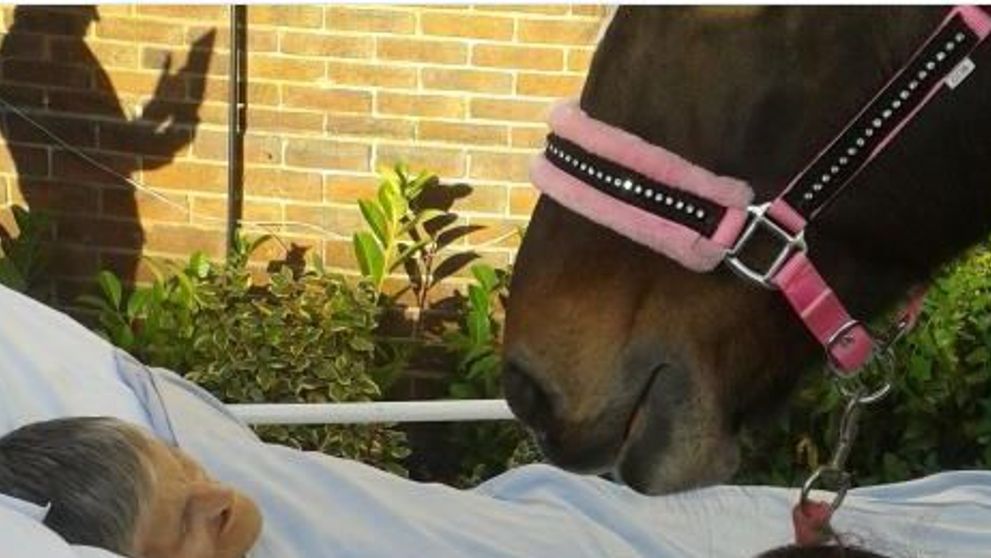 Ultima dorinta a unei femei bolnave de cancer a emotionat o lume intreaga. Povestea care a facut inconjurul internetului