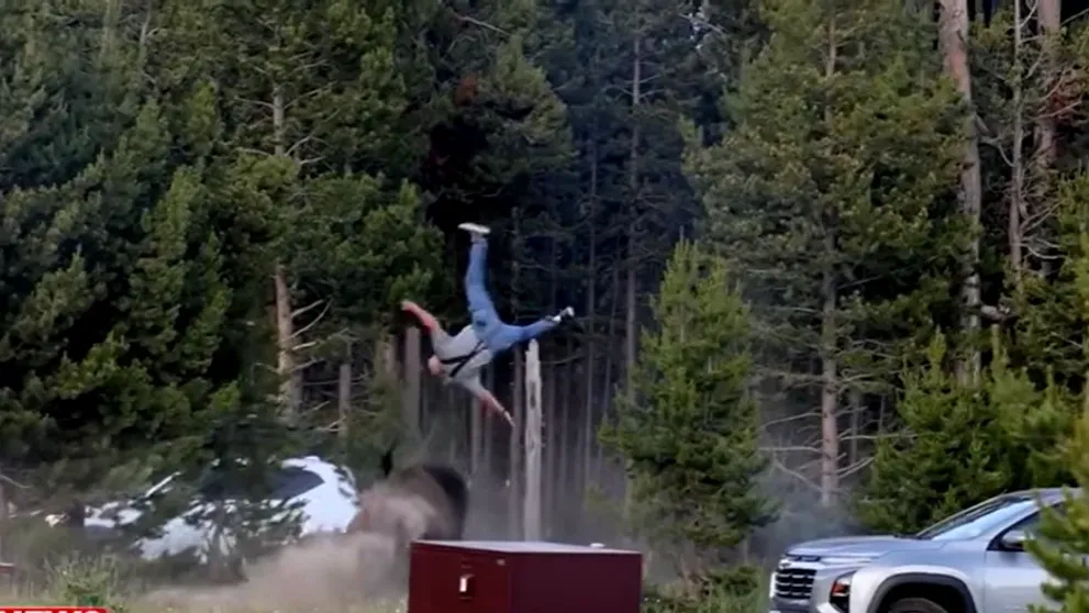 VIDEO Turist aruncat peste doi metri în aer de un bizon în Parcul Yellowstone. Martor: „Era extrem de agitat și ataca tot ce îi ieșea în cale”