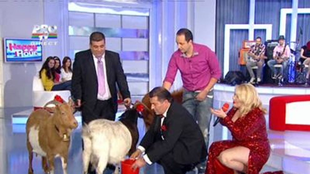 Ionita din Clejani a muls o capra in direct la Happy Hour!