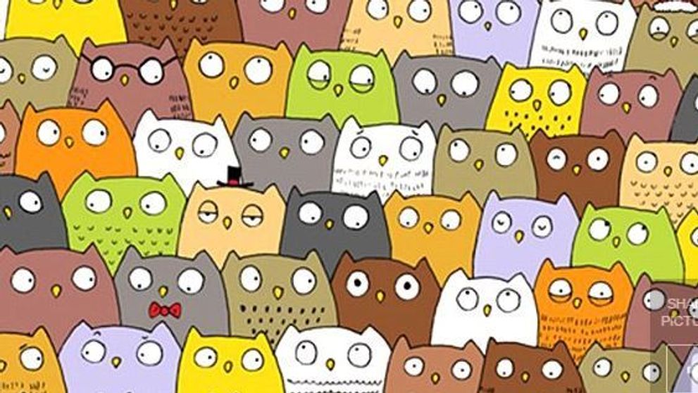Dupa ce toata lumea a incercat sa gaseasca ursul panda dintr-o imagine, pe internet circula un al doilea puzzle.