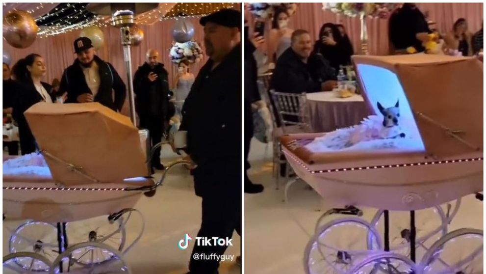 Un comediant i-a organizat o petrecere de 100.000 de dolari câinelui său Chihuahua: 