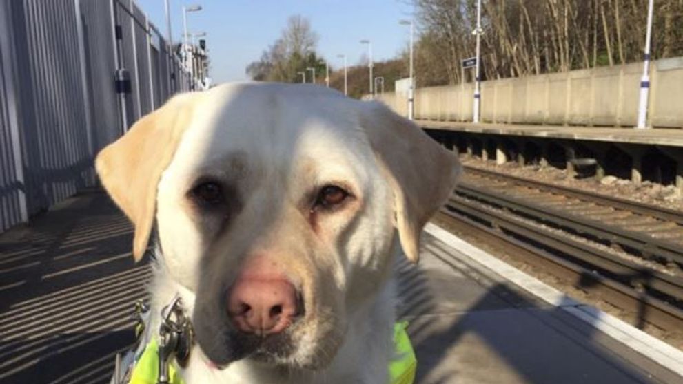 Un nevazator a izbucnit in lacrimi dupa ce niciun calator nu a vrut sa ii cedeze locul in tren
