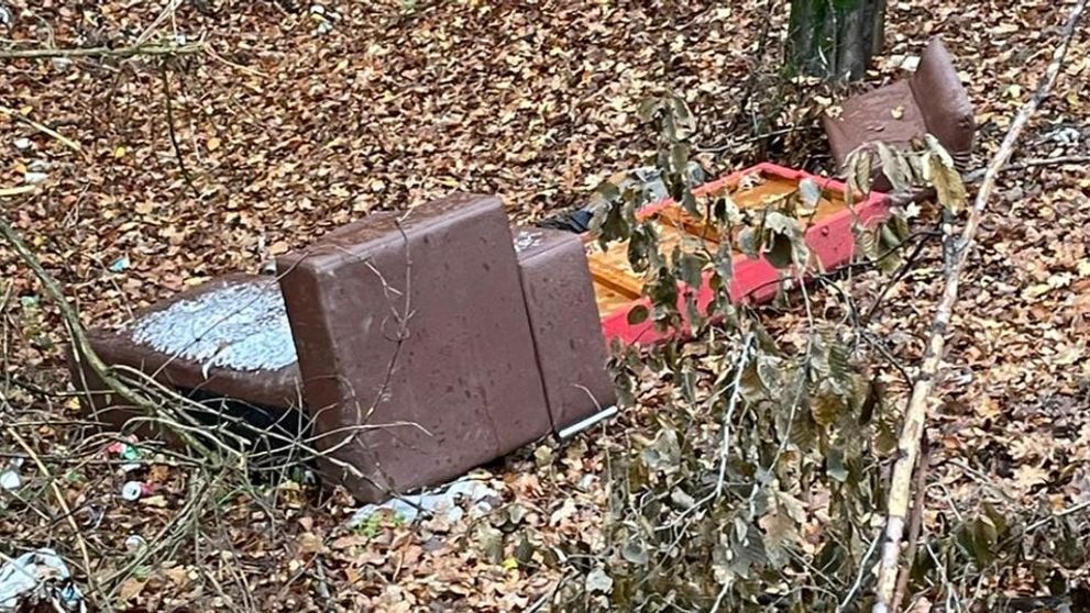 Ce amendă a putut să primească o familie din județul Sibiu după ce și-a aruncat mobila veche în pădure