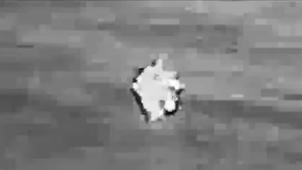 ”Îngerii” cu tentacule, cel mai tulburător lucru din dosarele extraterestre declasificate de Pentagon. Imagini nemaivăzute până acum