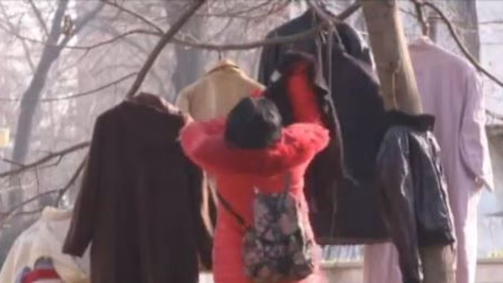 Haine in copaci pentru oamenii nevoiasi. Initiativa unei fundatii din Timisoara pentru a-i ajuta pe cei fara adapost
