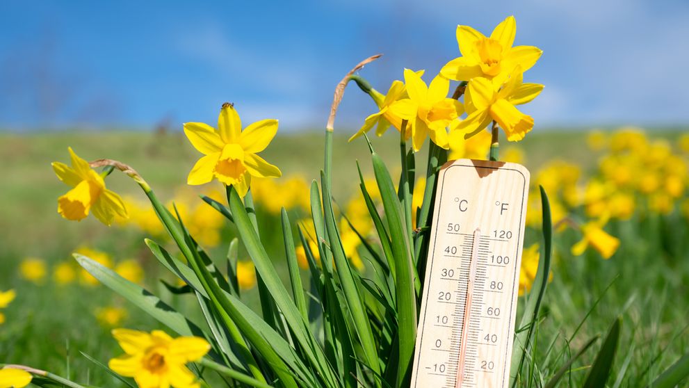 Temperaturi neobișnuit de ridicate la începutul primăverii 2026. Cât de cald va fi în luna martie. Meteorologii anunță o schimbare spectaculoasă a vremii