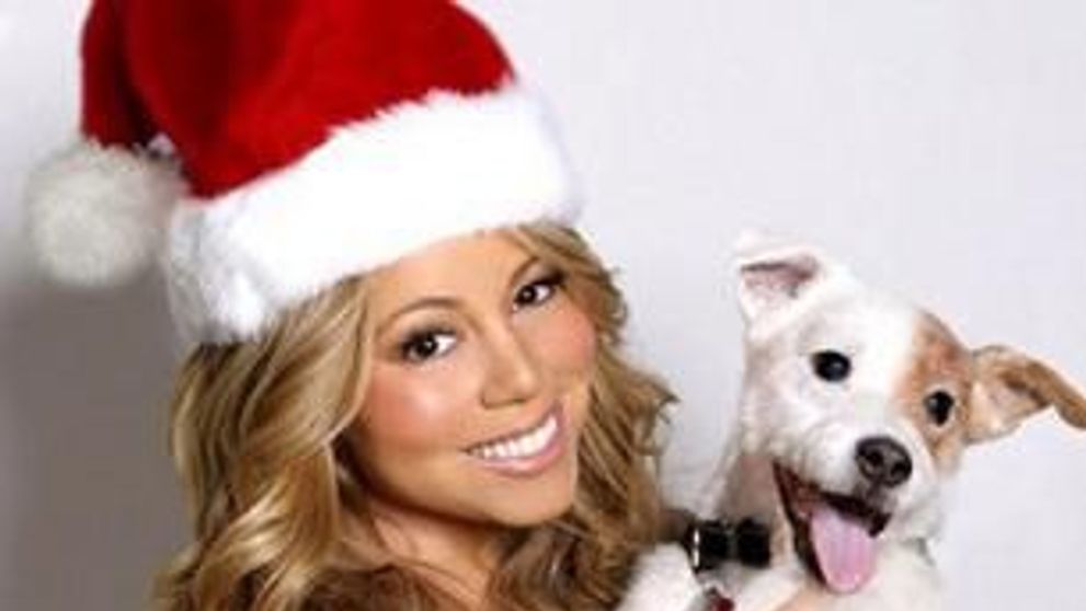 Cateii celebritatilor - rasfat a la Hollywood! FOTO