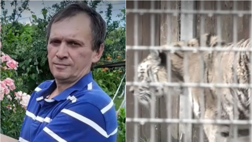 Noi detalii în cazul angajatului de la Grădina Zoologică din Pitești! Fiica lui mărturisește că ar fi putut supraviețui: „Avea o șansă!” Ce nu s-a văzut pe camerele de supraveghere