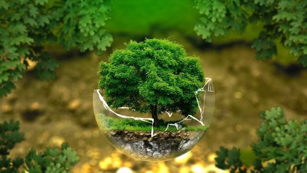 (P) Biodegradabil vs Compostabil vs Reciclabil: Ce trebuie sӑ știi?