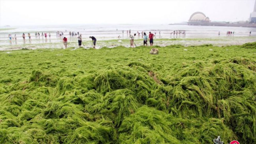 O zi la plaja in China: credeai ca nu poate fi mai rau decat la noi? VIDEO