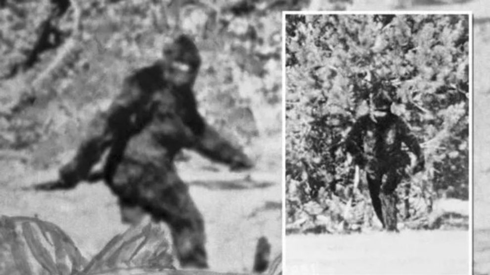 Misteriosul video cu Bigfoot, din 1967, scanat cu metode revoluționare. Concluziile sunt surprinzătoare