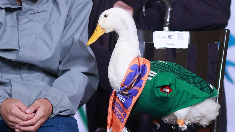 Imagini virale! Merlin, rața care mănâncă tacos, poartă pantofi și e considerată de fani mascota neoficială a Cupei Mondiale, în vizită la președinta Mexicului