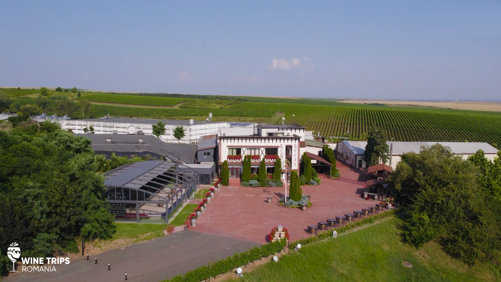 Wine Trips România, sezonul 4 | Secretele vinurilor medaliate de la Cramele Recaș