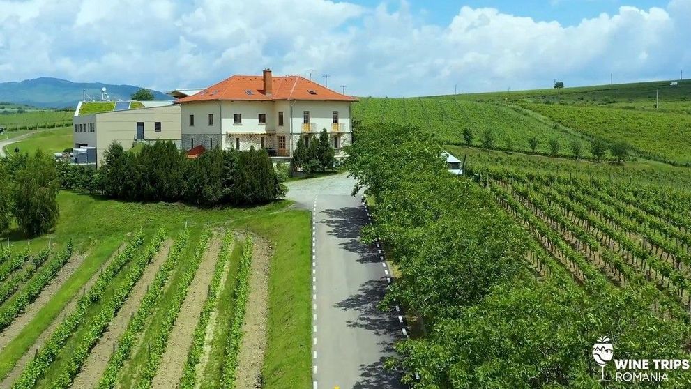 Wine Trips România | Pe drumul vinului românesc la Crama LacertA