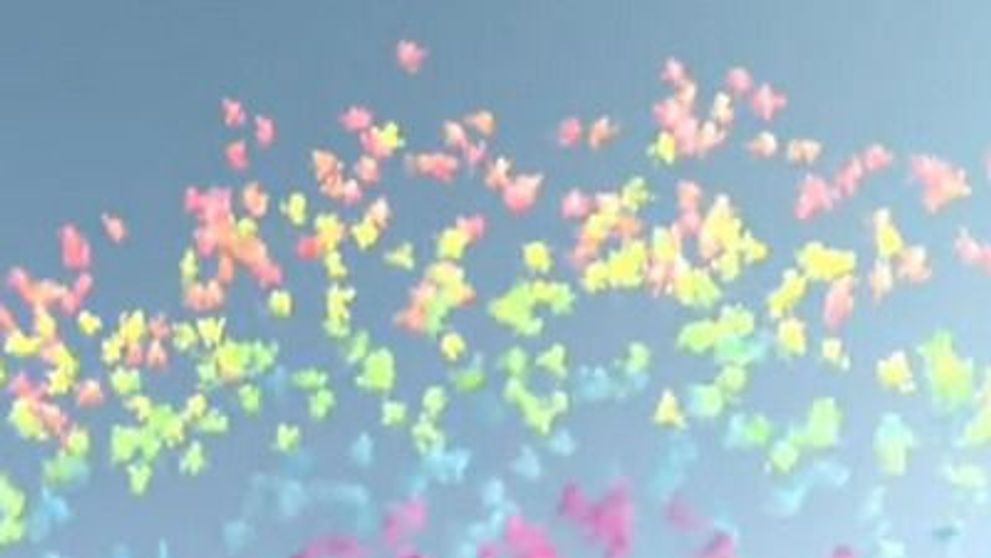 Ce crezi ca e in aceasta imagine? Aparitia care a uimit pe toata lumea: VIDEO