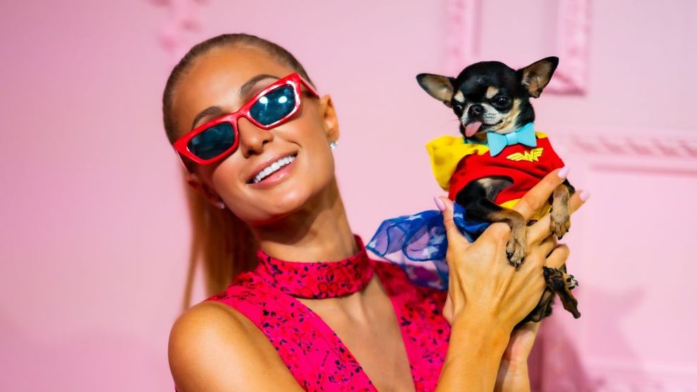 Aroganță de vedetă! Paris Hilton i-a luat câinelui geantă de 5.500 de dolari