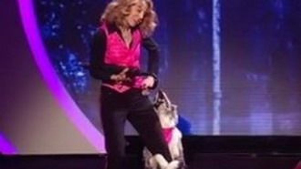 Chandi, cainele dansator, face furori la Britain’s Got Talent! E in finala