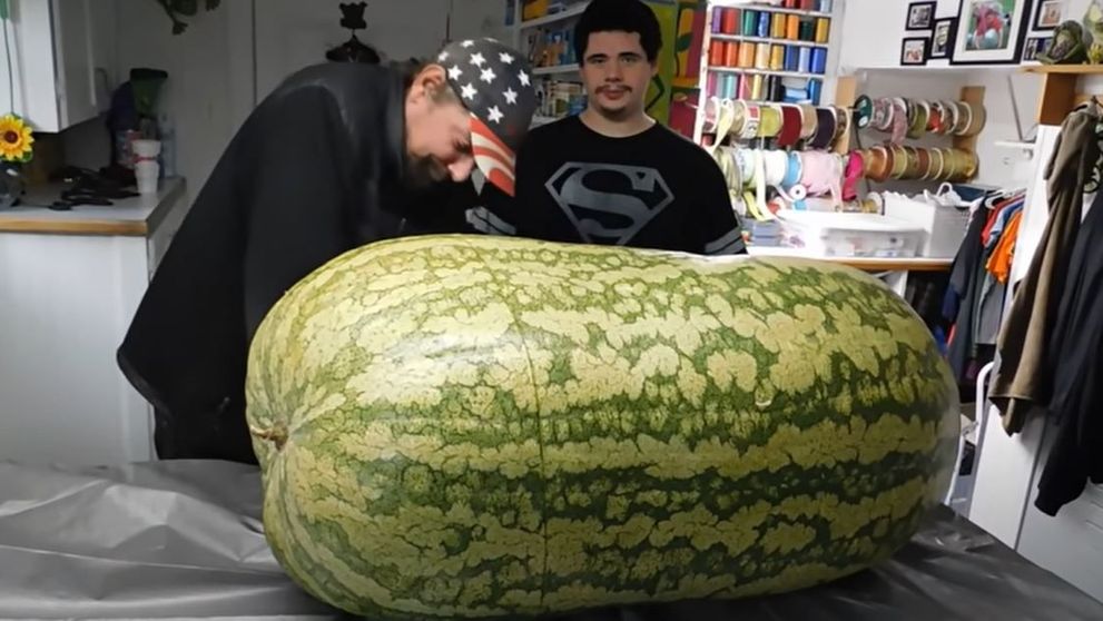 Reacția unor agricultori care au tăiat un pepene de 130 de kilograme. Cum arăta în interior