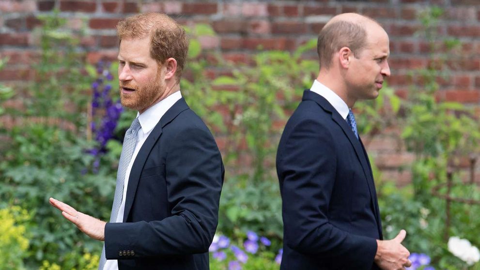 Prințul Harry ar fi fost agresat fizic de fratele său în timpul unei discuții aprinse! Ce spun sursele apropiate palatului despre gestul Prințului William: „O lovitură ieftină”
