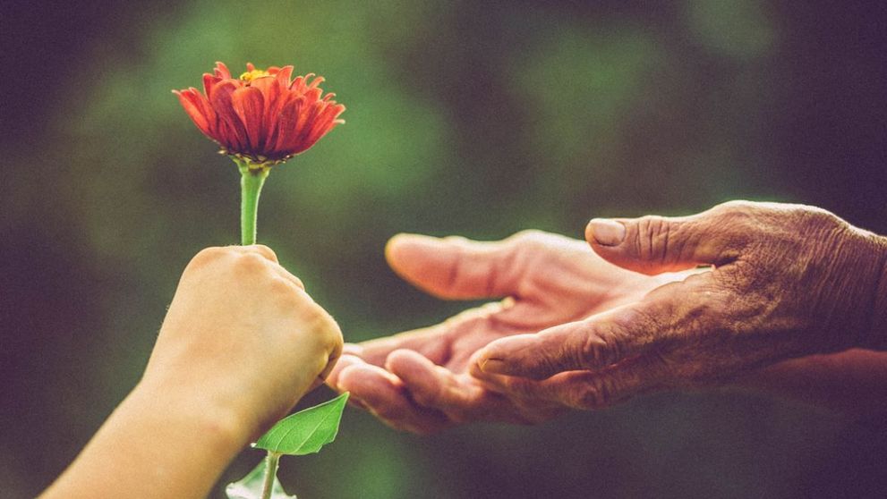 Romania va avea pentru prima data o scoala de voluntariat. Activitatea, considerata experienta profesionala