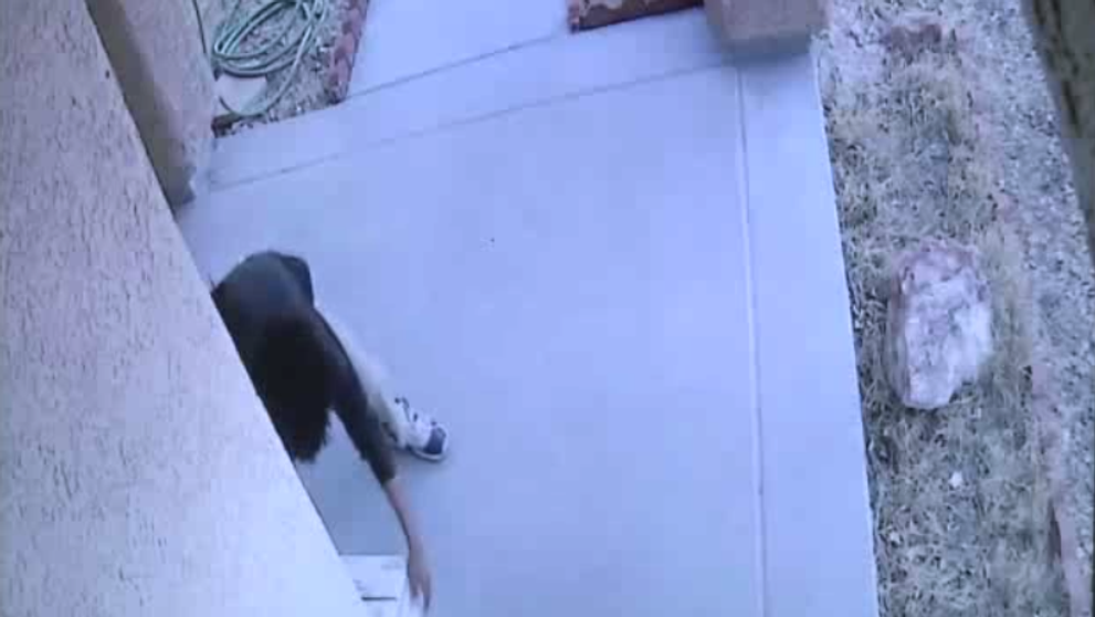 Un hot a furat dintr-o casa, dar camerele au surprins totul. Ce a gasit in cutie l-a facut sa regrete