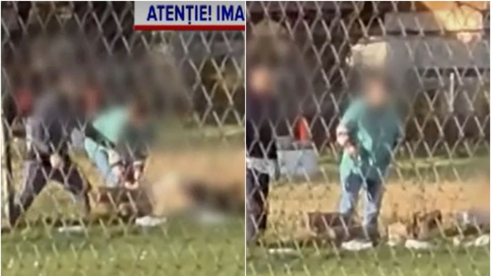 VIDEO tulburător! O pacientă a fost bătută de o angajată, într-un centru de dizabilități din Bihor. Scenele șocante au fost filmate