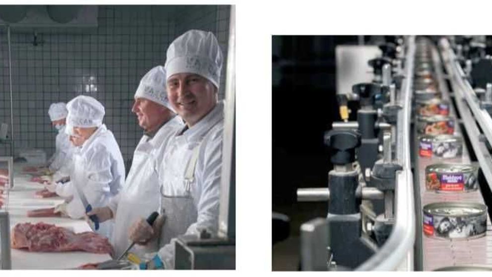 (P) Compania Vascar, în cifre: 36 de ani de activitate neîntreruptă, 21 de magazine și peste 380 de angajați