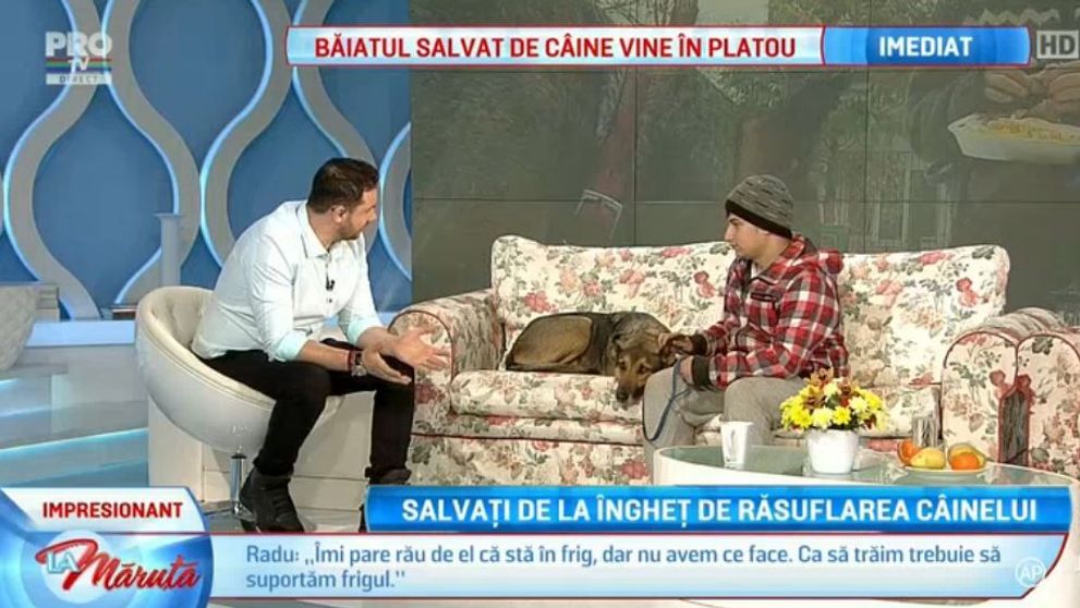 Salvati de la inghet de rasuflarea cainelui. Surpriza primita de baiatul fotografiat inghetat si nins