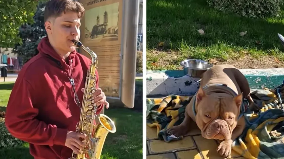 Un tânăr cântă în stradă pentru a strânge bani să își opereze câinele. Povestea lui a impresionat mii de oameni: „Un gest mai frumos ca ăsta nici că se putea”