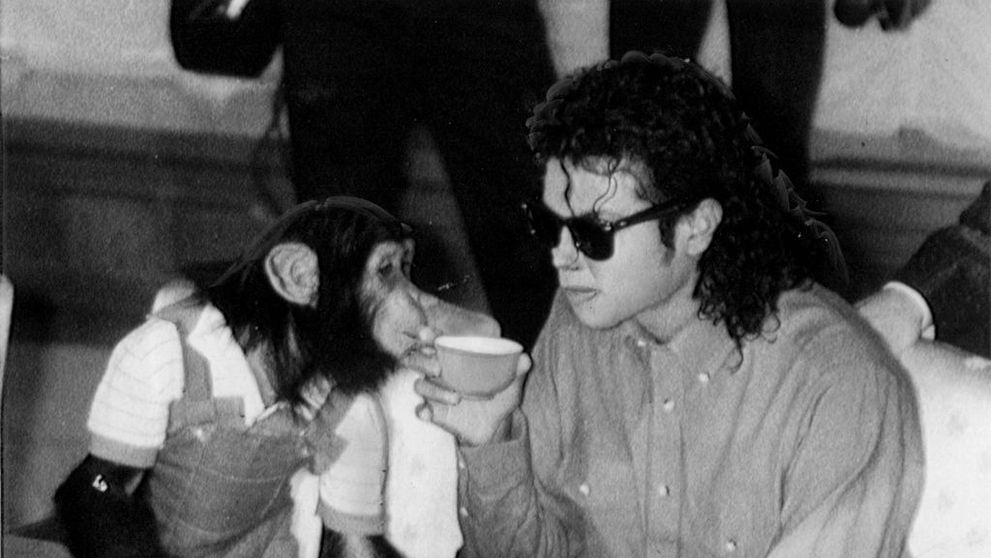 Ce s-a întâmplat cu cimpanzeul lui Michael Jackson? Bubbles  a călătorit frecvent cu artistul în anii '80